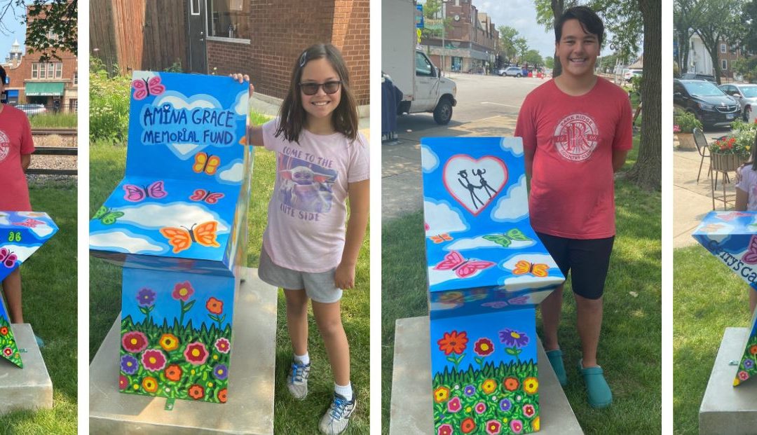 Park Ridge Shines Brightly – Inclusion Revolution